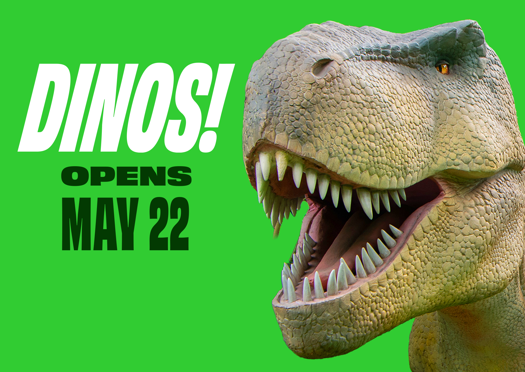 Dinos! | 06/13/2026 | Choose Chicago